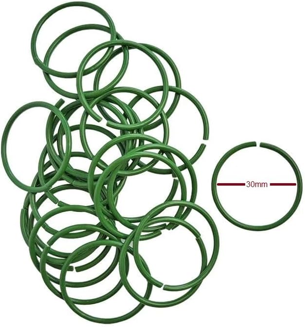 51cXzaVXzEL._AC_SL1000_