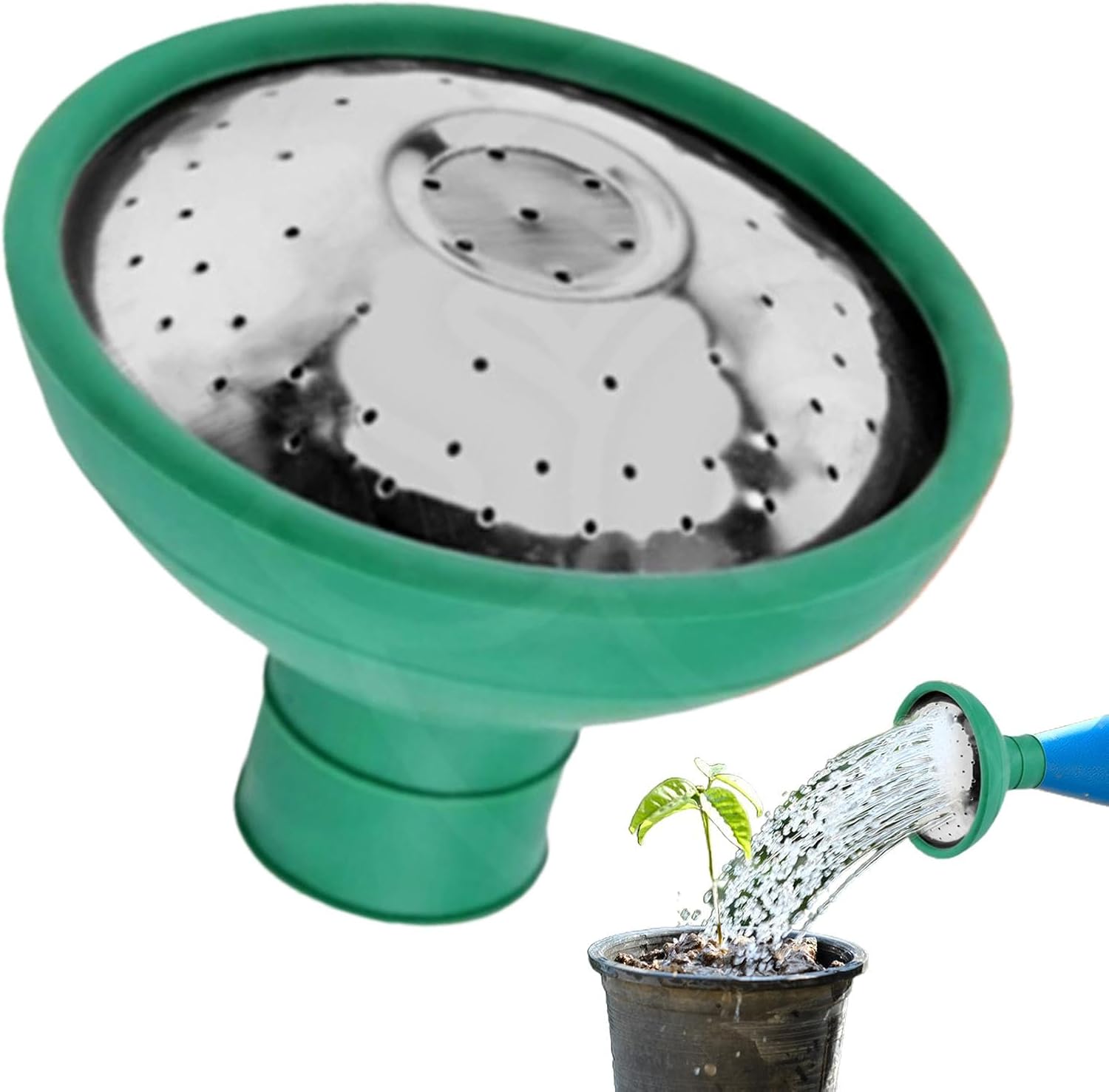 61oiNVuGAmL._AC_SL1500_