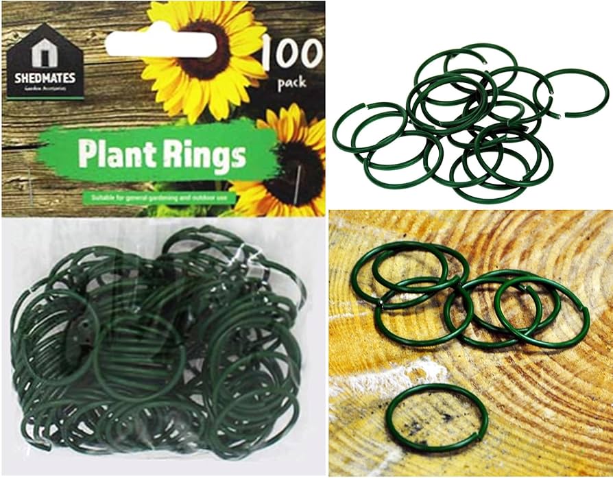 71ME36MjHlL._AC_UF894,1000_QL80_