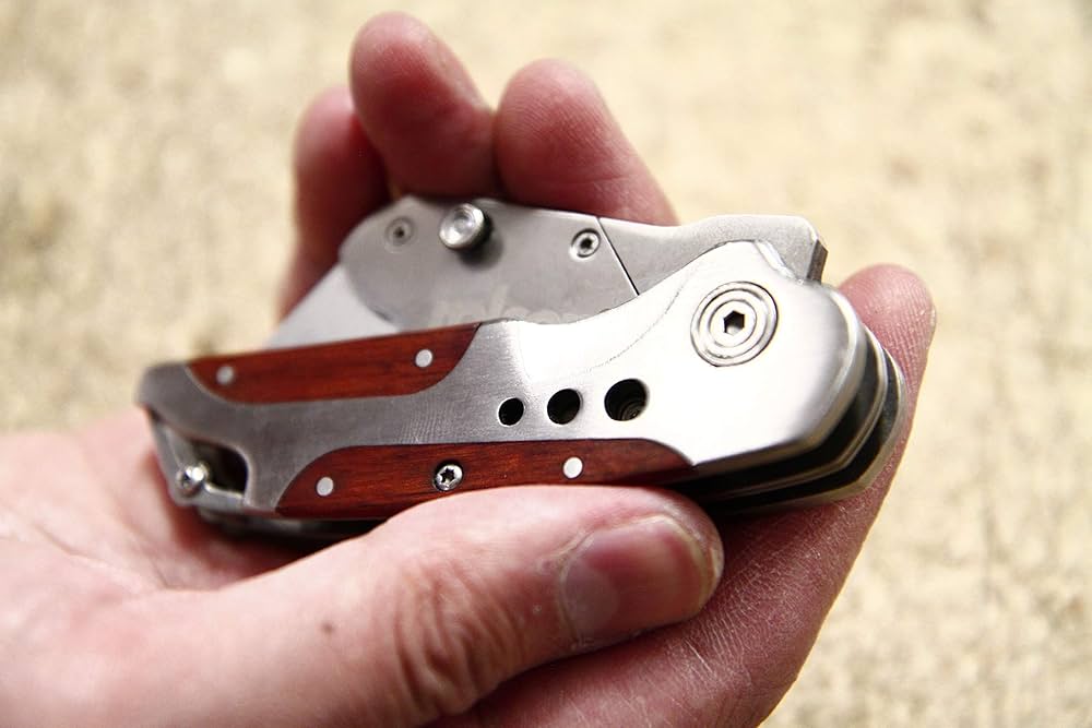 81Ype7od72L._AC_UF1000,1000_QL80_