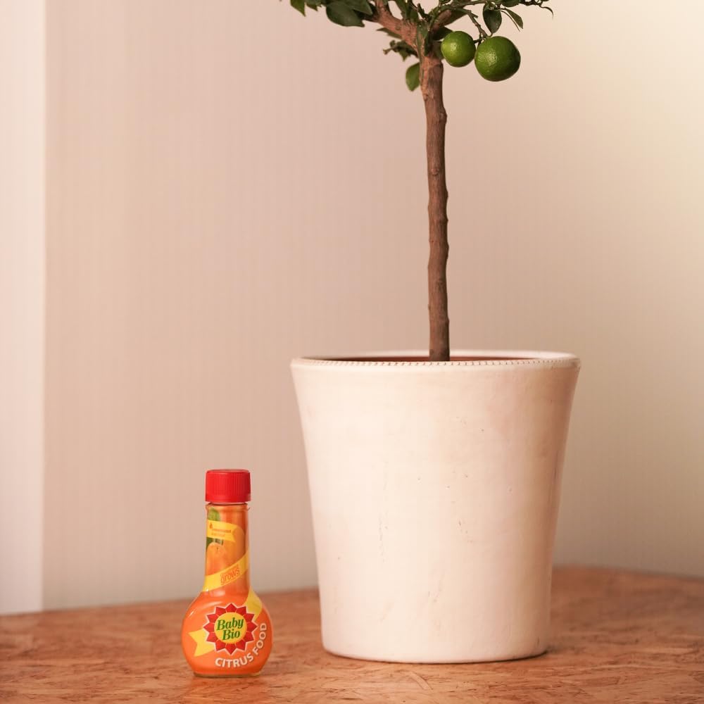 51Tn+4im8zL._AC_SL1000_