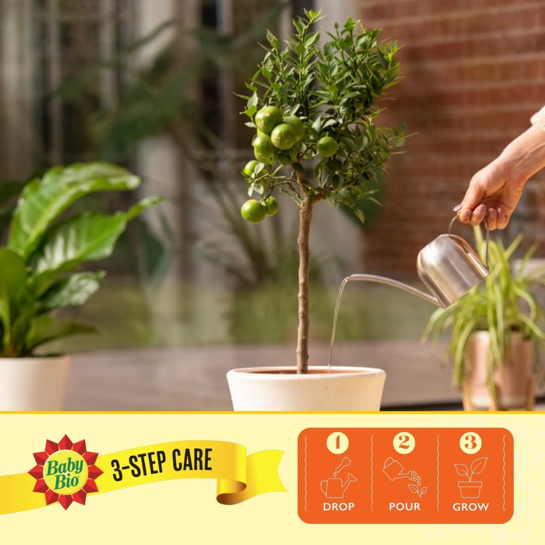 6115t4StAoL._AC_SL1080_