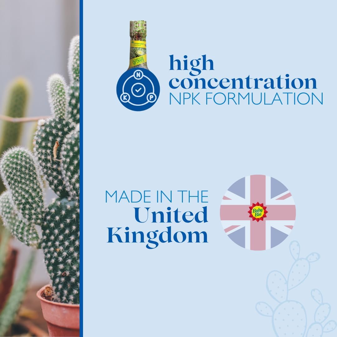 61HRHUxXQqL._AC_SL1080_