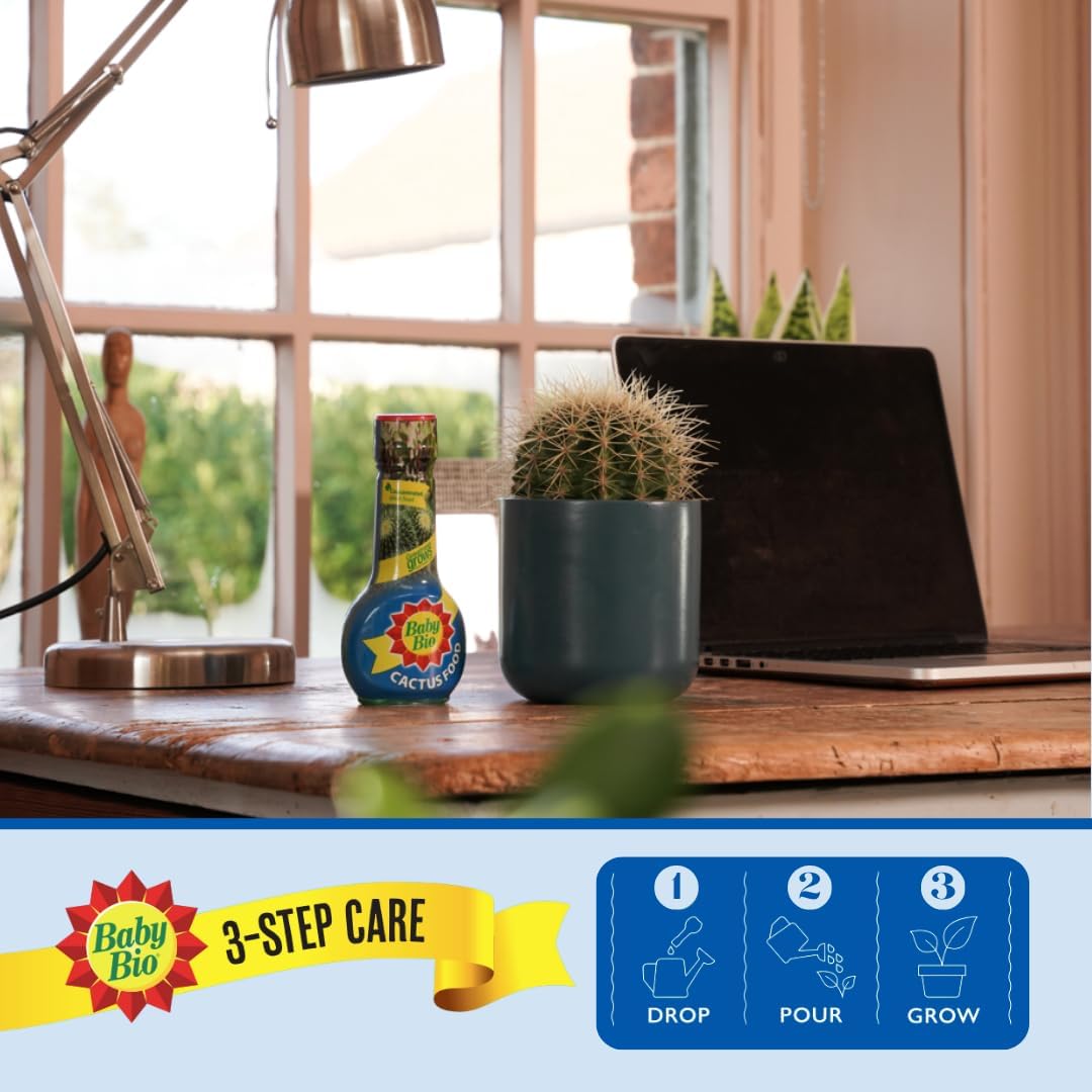 61HbPaxCFcL._AC_SL1080_