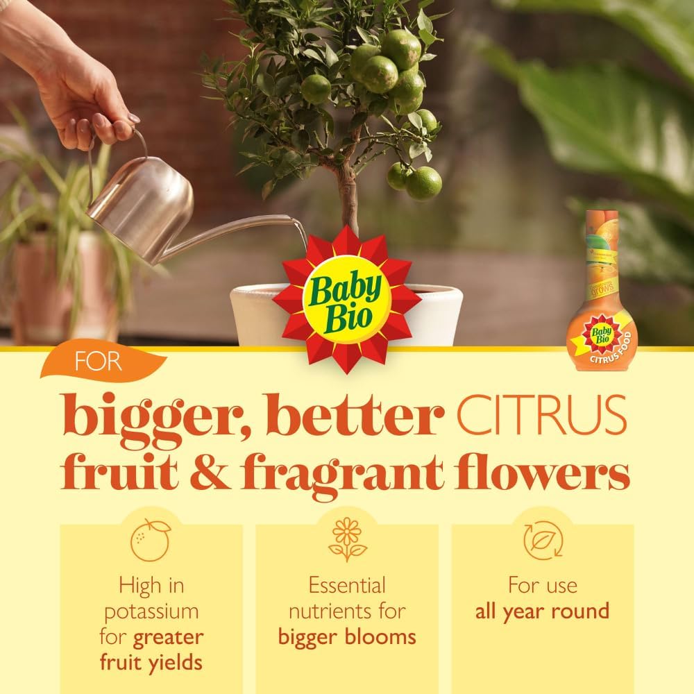 61H+u9MLuuL._AC_SL1000_