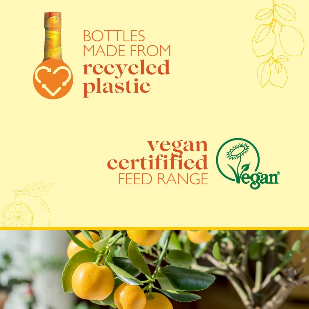 61JkQ7U6teL._AC_SL1080_