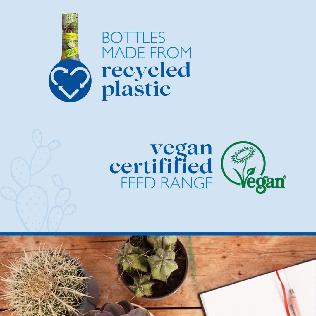 61XXlse54OL._AC_SL1080_