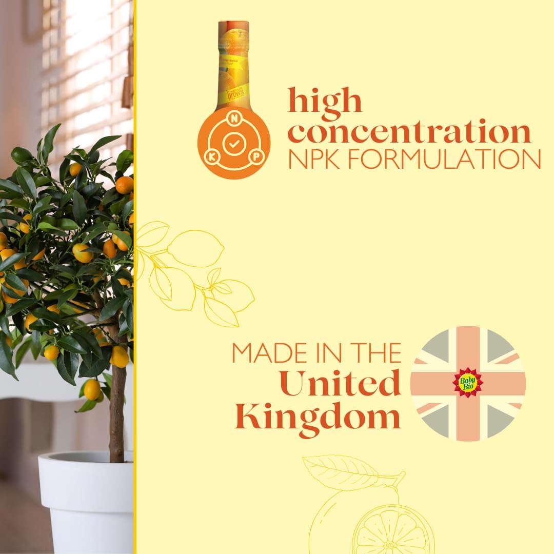 61zqks5cmLL._AC_SL1080_